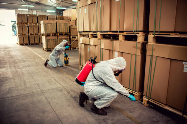 Best Affordable Pest Control Services  in Brusly, LA